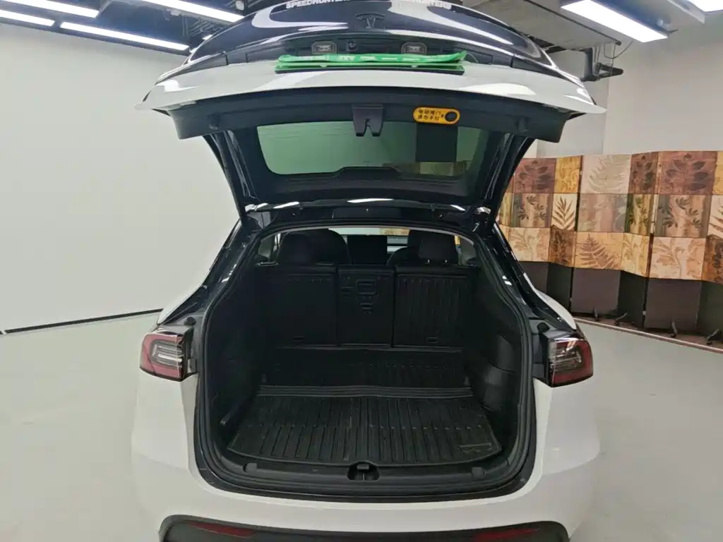 Tesla Model Y — миниатюра 19