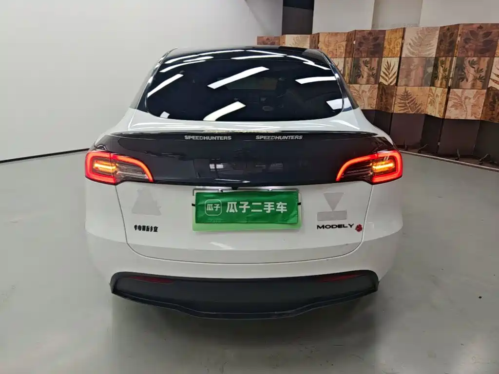Tesla Model Y — миниатюра 6