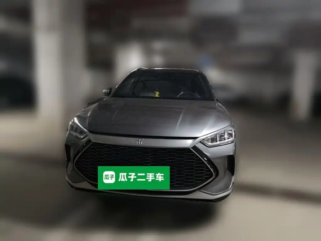 BYD PLUS New Energy — миниатюра 2