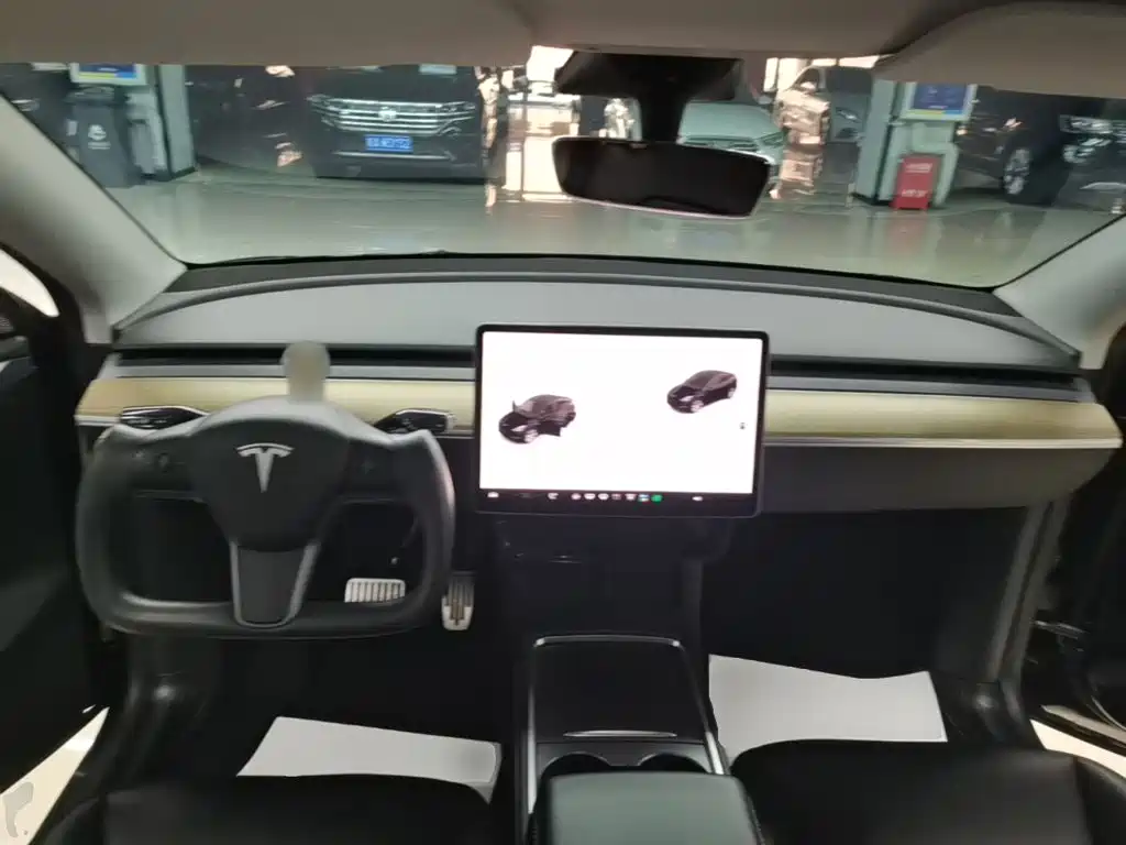 Tesla Model Y — миниатюра 10