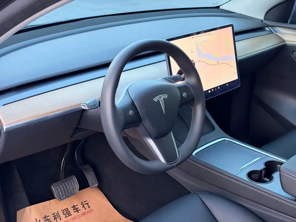 Tesla Model Y — миниатюра 6