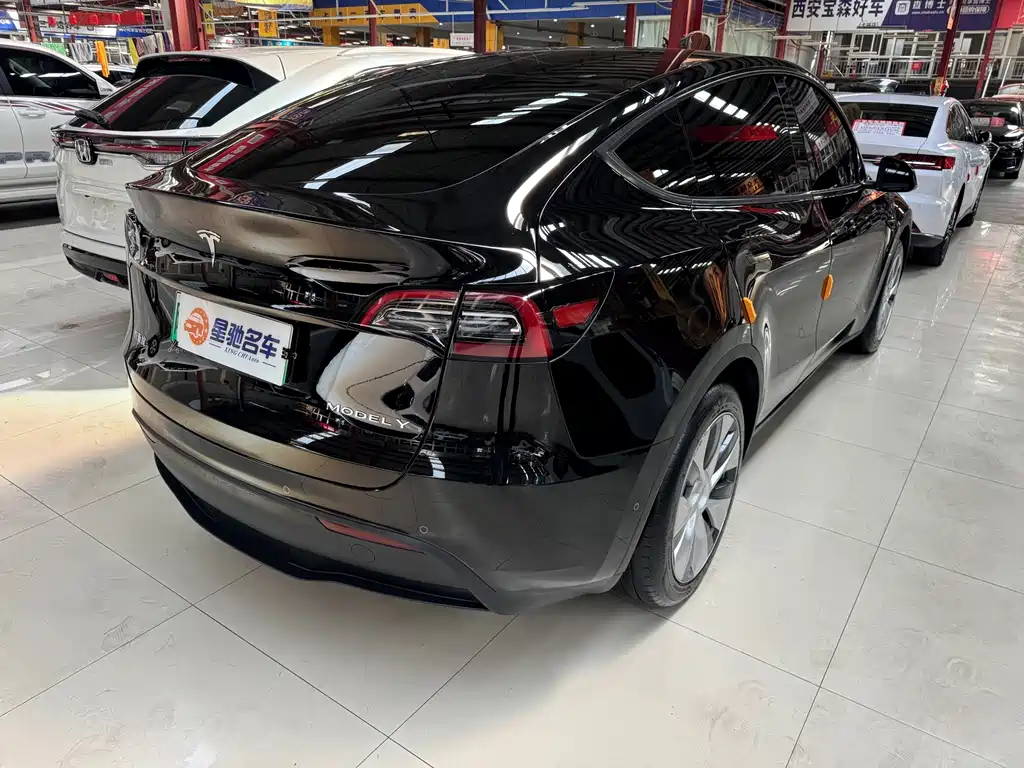 Tesla Model Y — миниатюра 13
