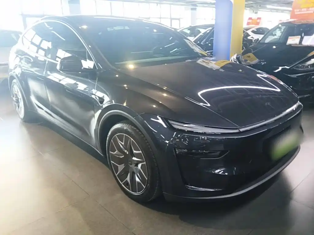 Tesla Model Y L — миниатюра 4