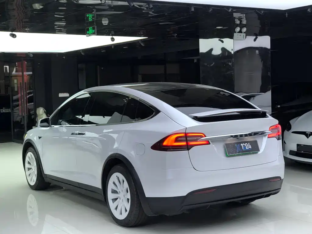 Tesla Model X — миниатюра 5