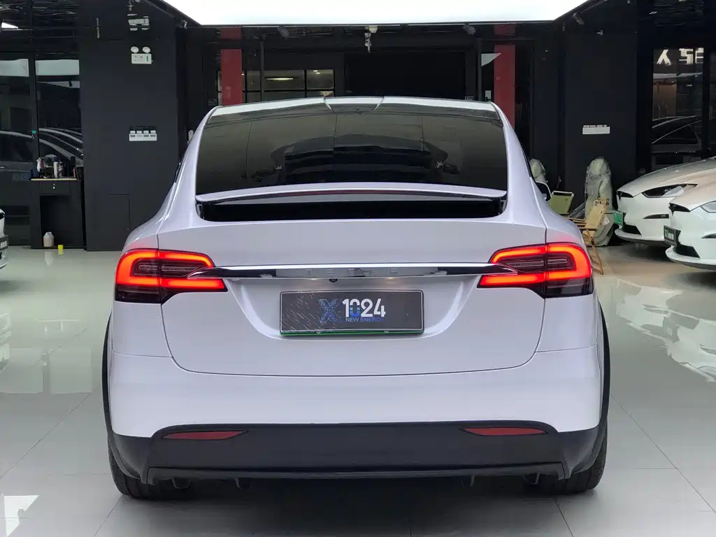 Tesla Model X — миниатюра 6