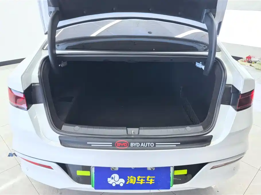 BYD Qin Plus PLUS 2024 DM-i 55KM Lead
