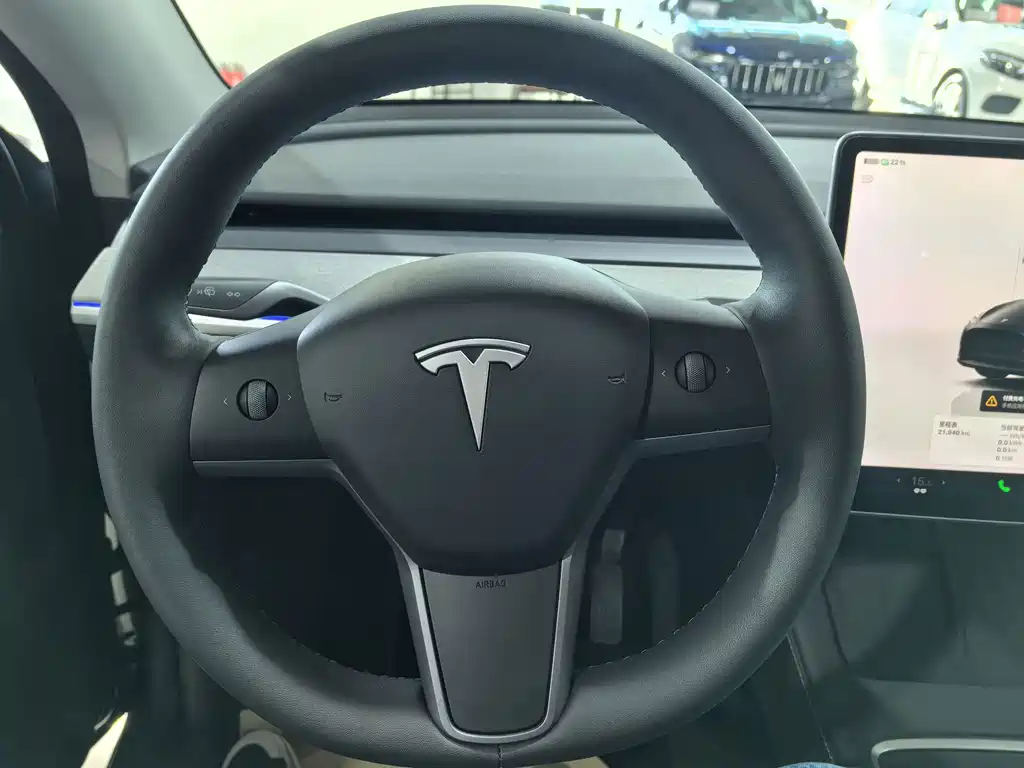 Tesla Model Y — миниатюра 7