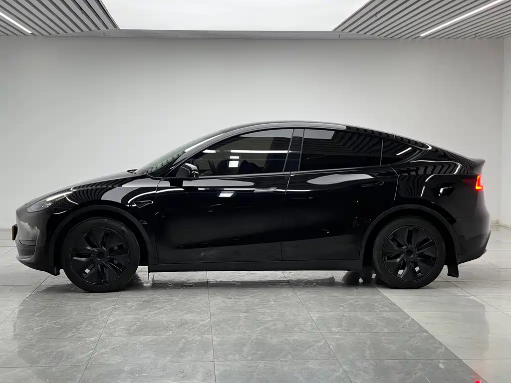 Tesla Model Y — миниатюра 7