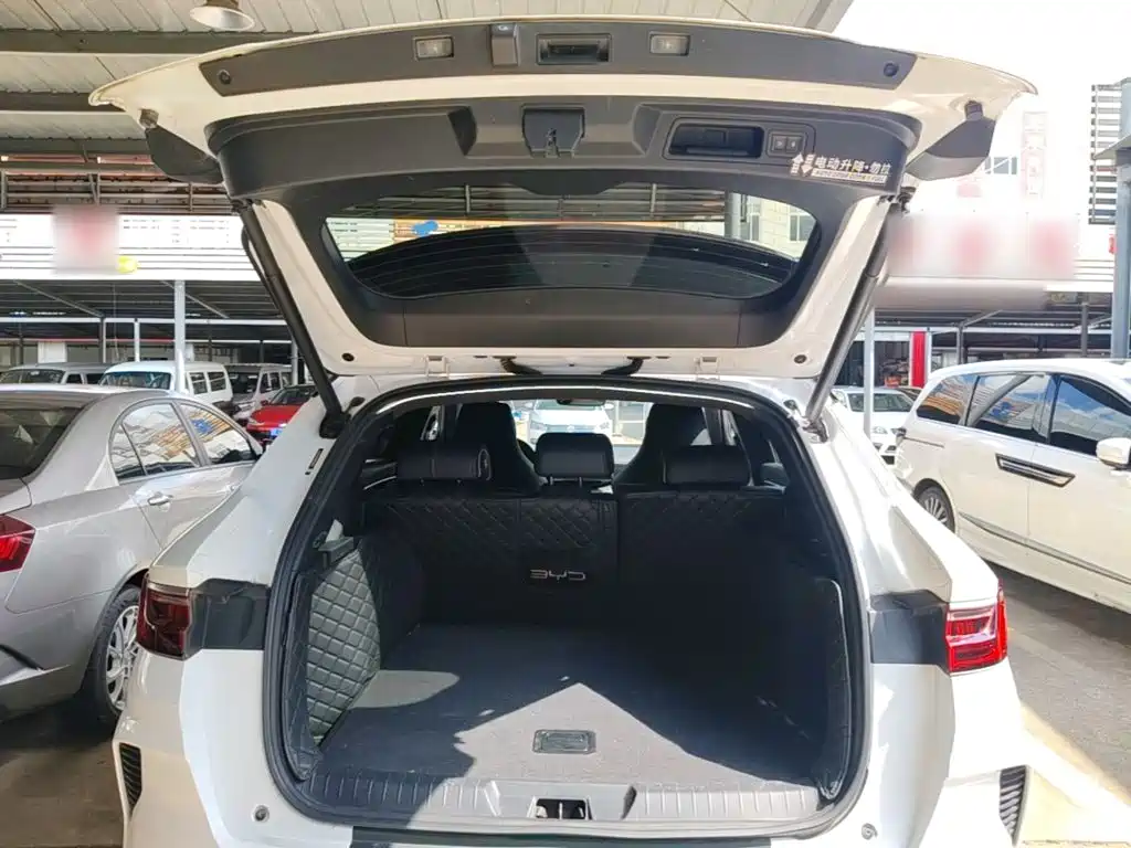 BYD PLUS New Energy — миниатюра 19