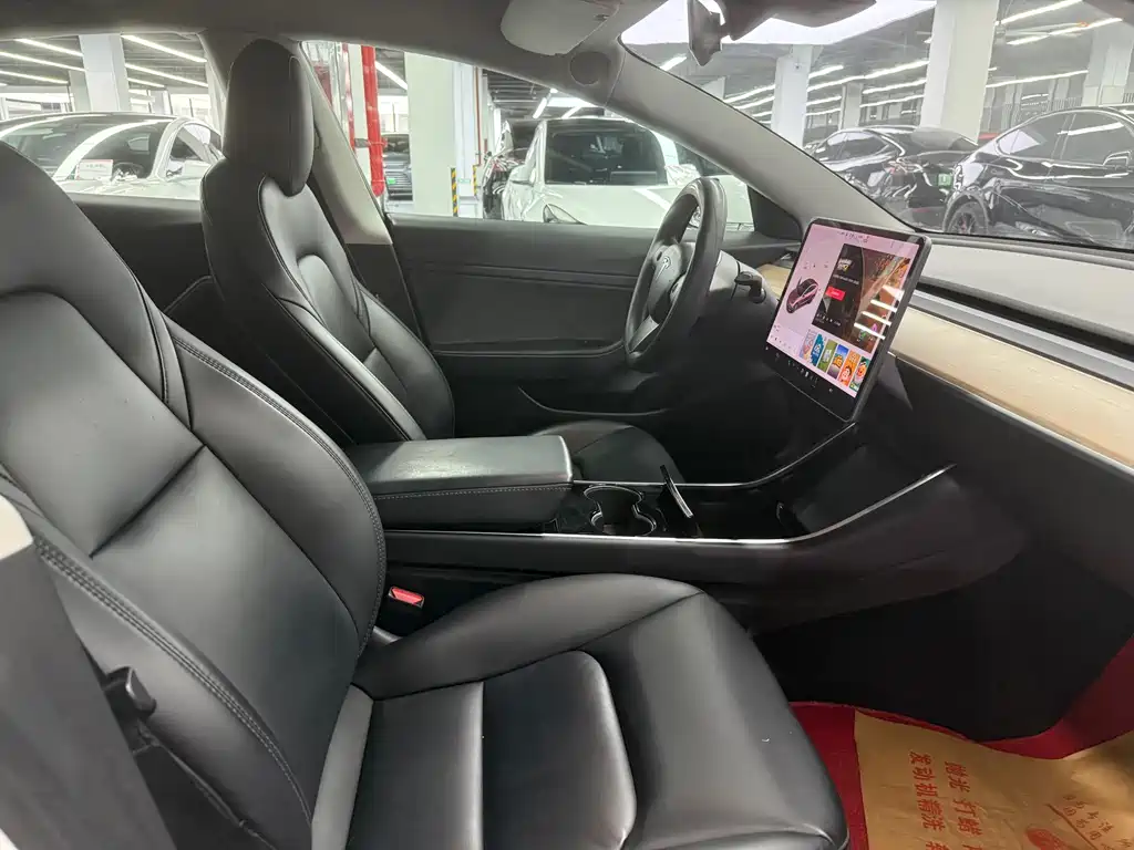 Tesla Model 3 — миниатюра 21