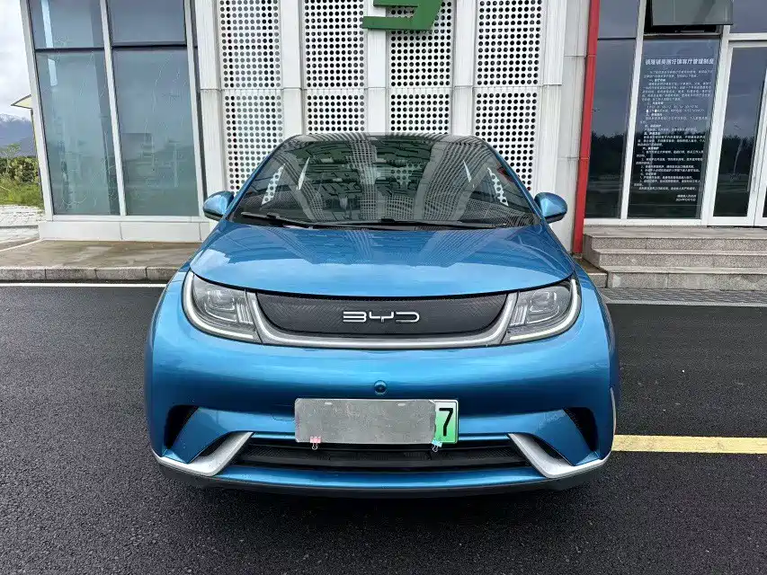 BYD Dolphin — миниатюра 2