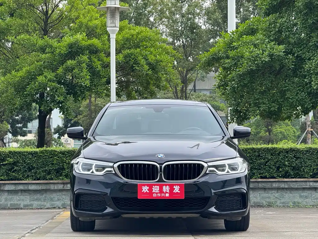 BMW 5 Series — миниатюра 2