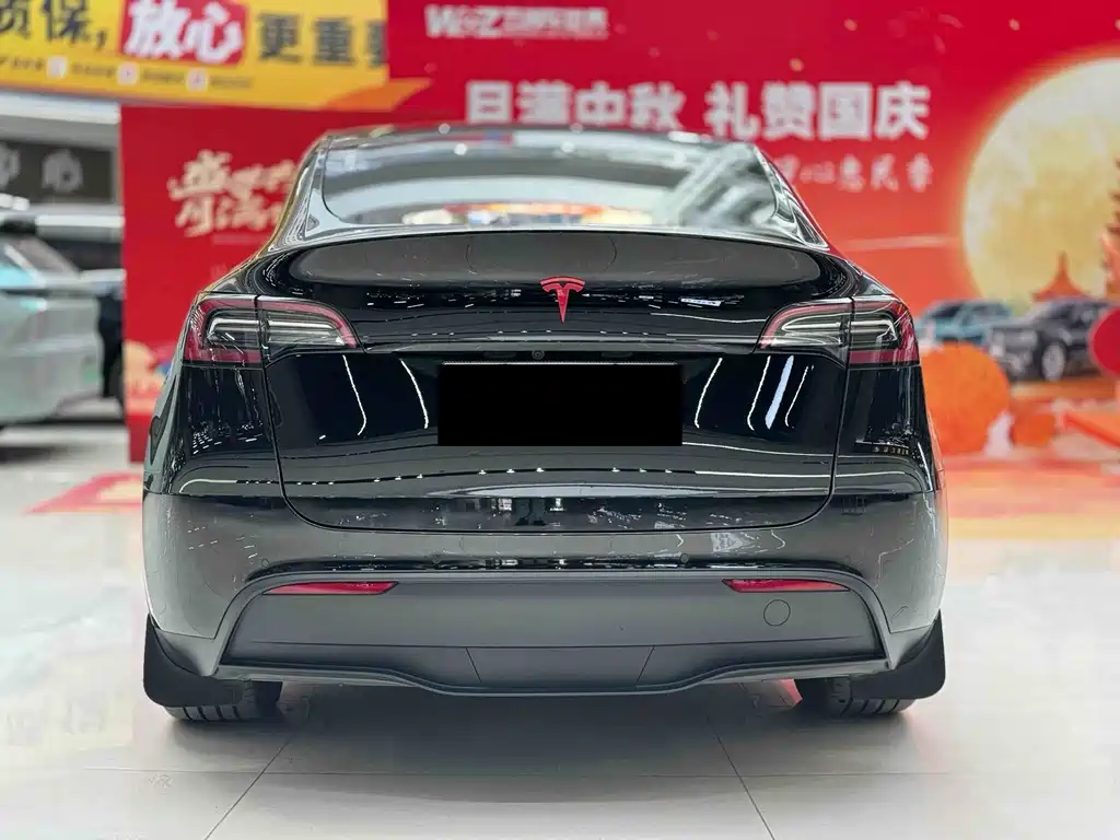 Tesla Model Y — миниатюра 8