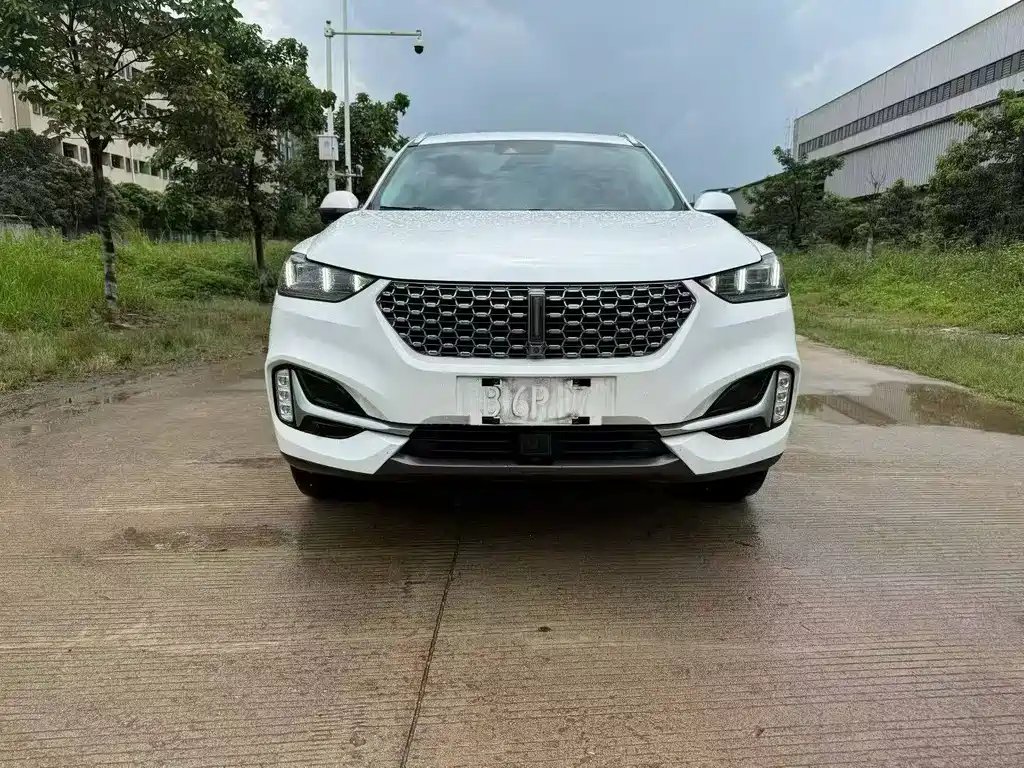 Wey Wey VV6 — миниатюра 2
