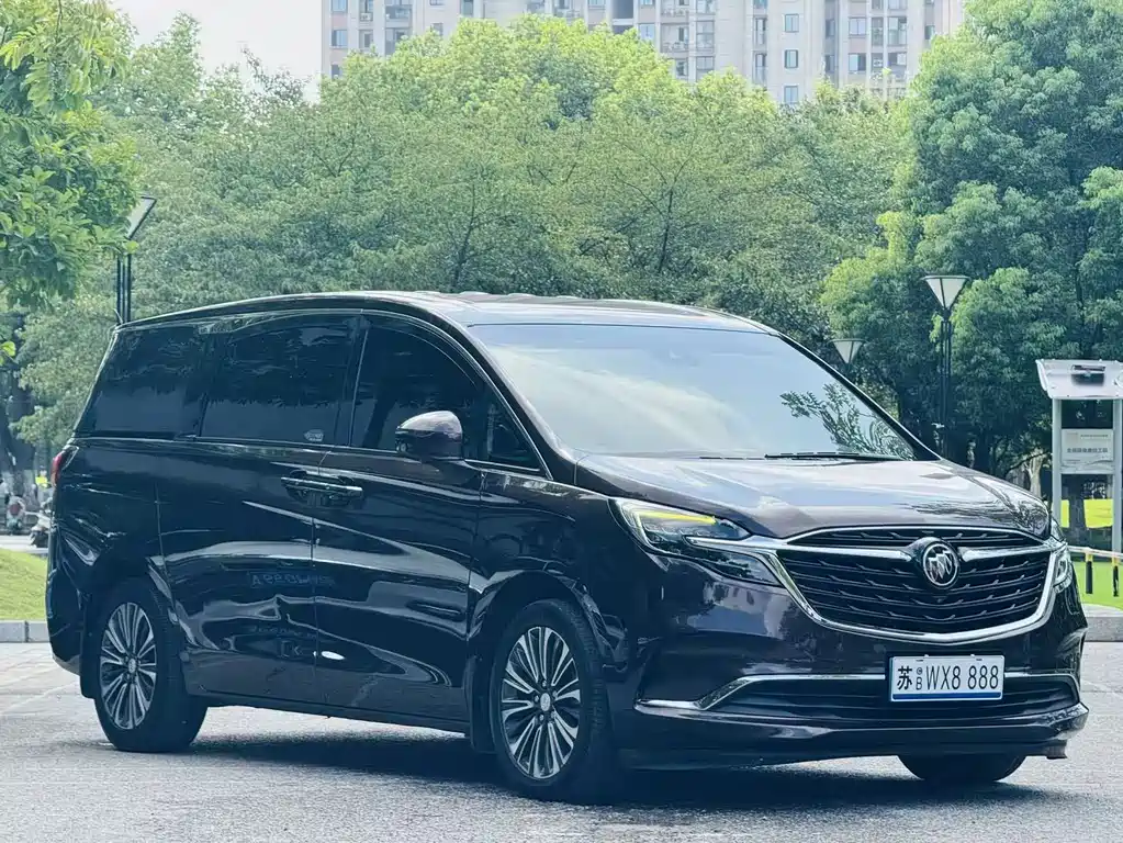 Buick GL8 — миниатюра 3