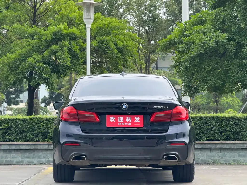 BMW 5 Series — миниатюра 5