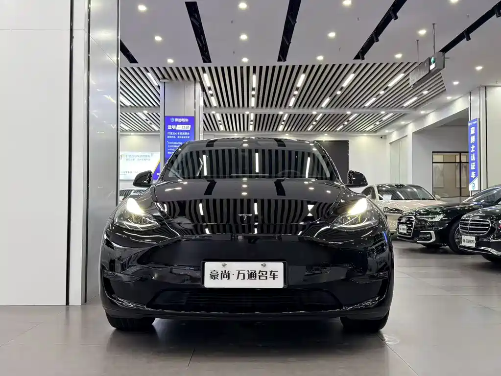 Tesla Model Y — миниатюра 2