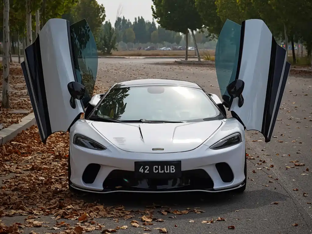 McLaren GT — миниатюра 5