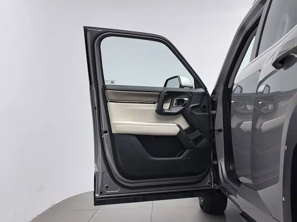 Haval Big Dog PLUS New Energy — миниатюра 8