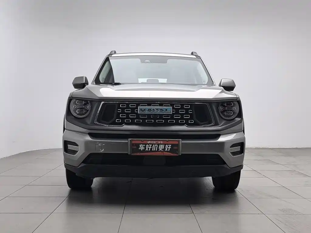 Haval Big Dog PLUS New Energy — миниатюра 3