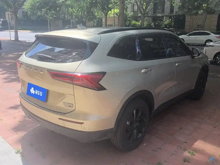 Haval H6 2024 2.0T Max