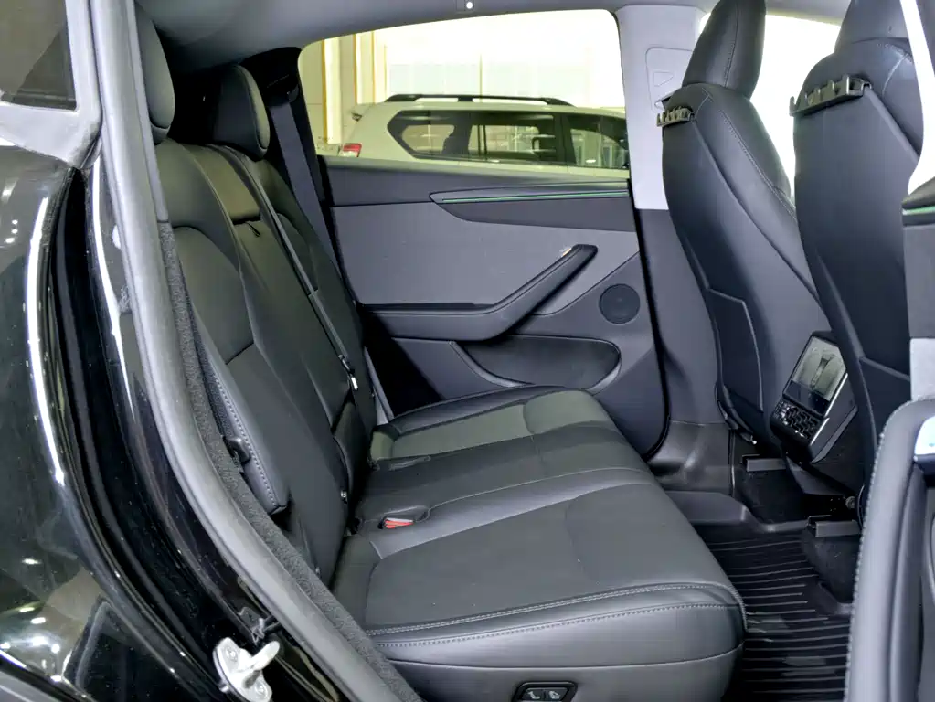 Tesla Model Y — миниатюра 16