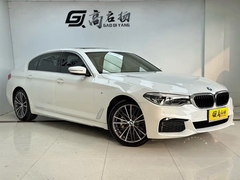 BMW 5 Series — миниатюра 3
