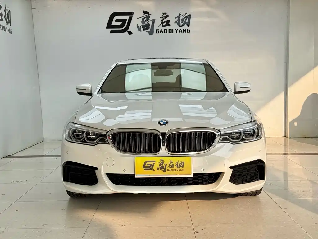 BMW 5 Series — миниатюра 2