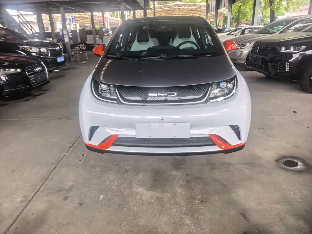 BYD Dolphin 2021 405km Fashion