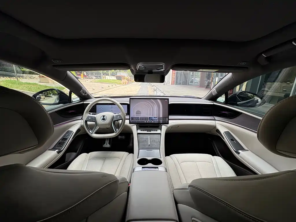 Denza Denza Z9 — миниатюра 17