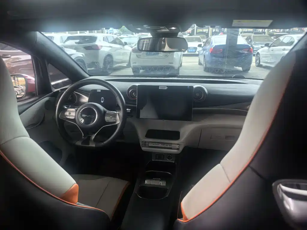 BYD Dolphin 2021 405km Fashion