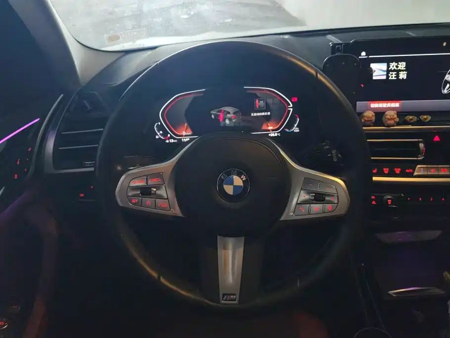 BMW X3 — миниатюра 15