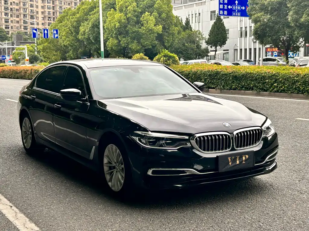 BMW 5 Series 5 2020 530Li Lead Luxury