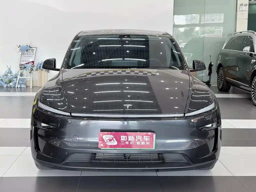 Tesla Model Y — миниатюра 2
