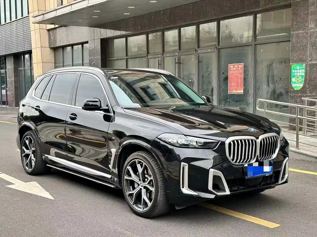 BMW X5 — миниатюра 3