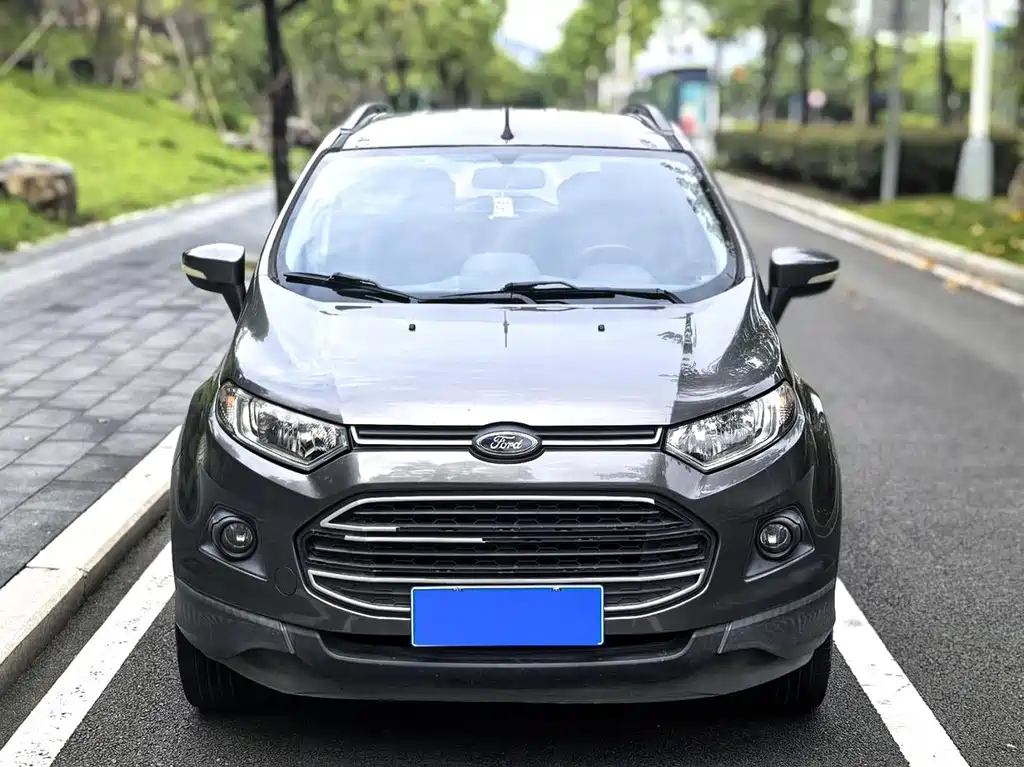 Ford Ecosport — миниатюра 25