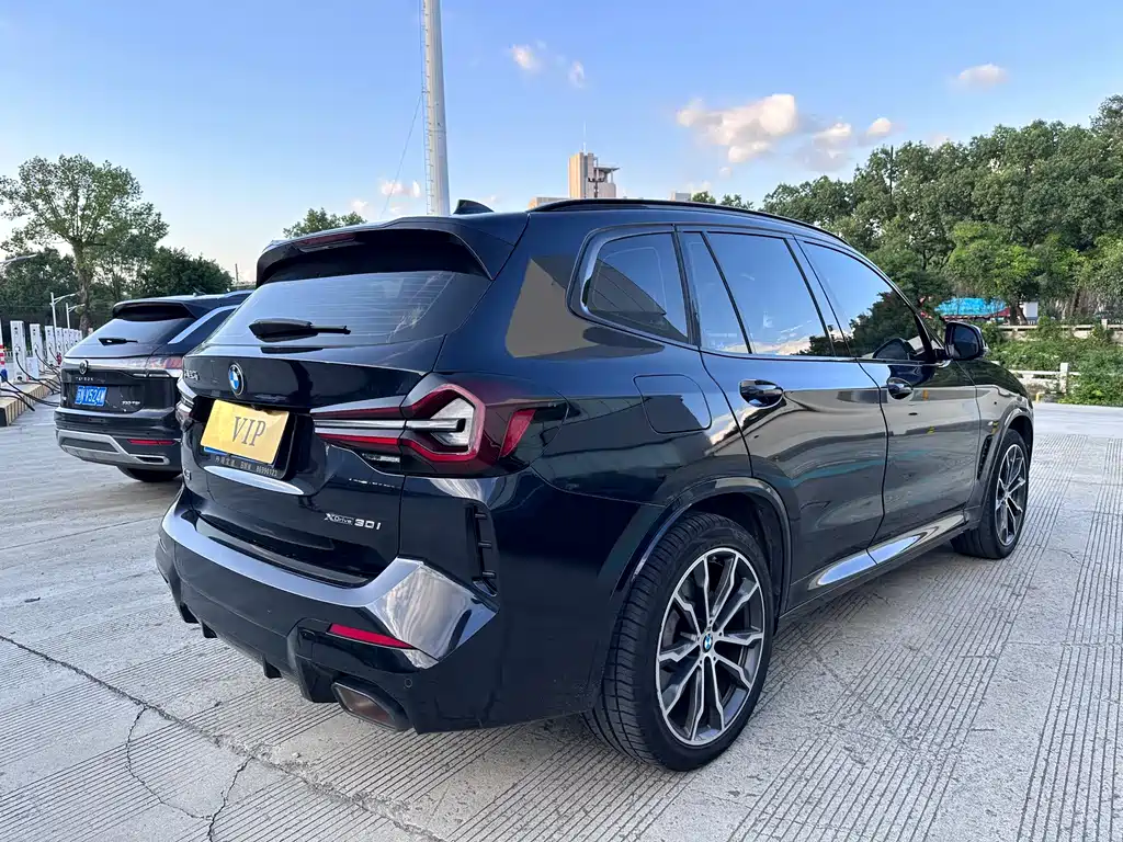 BMW X3 — миниатюра 9