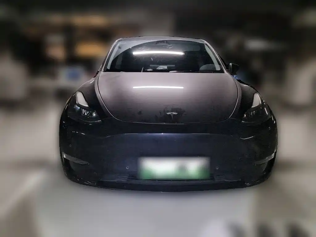 Tesla Model Y — миниатюра 3