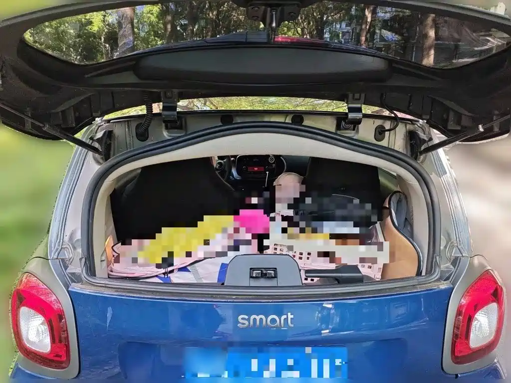 smart Smart Fortwo — миниатюра 10