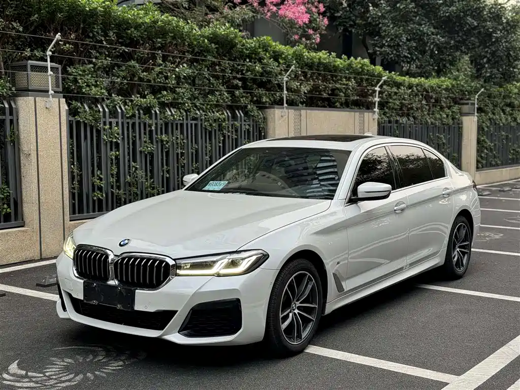 BMW 5 SERIES