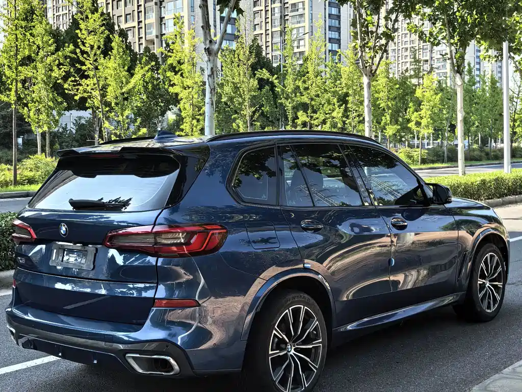 BMW X5 (Import) — миниатюра 9