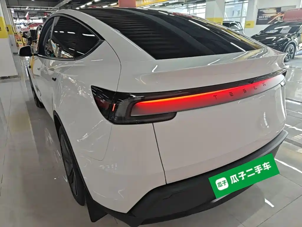 Tesla Model Y — миниатюра 5