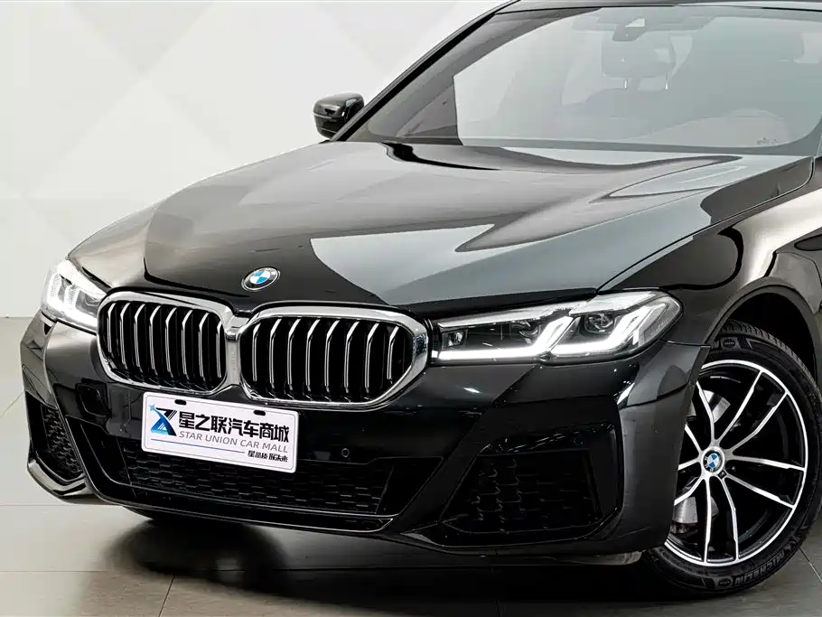 BMW 5 Series — миниатюра 2