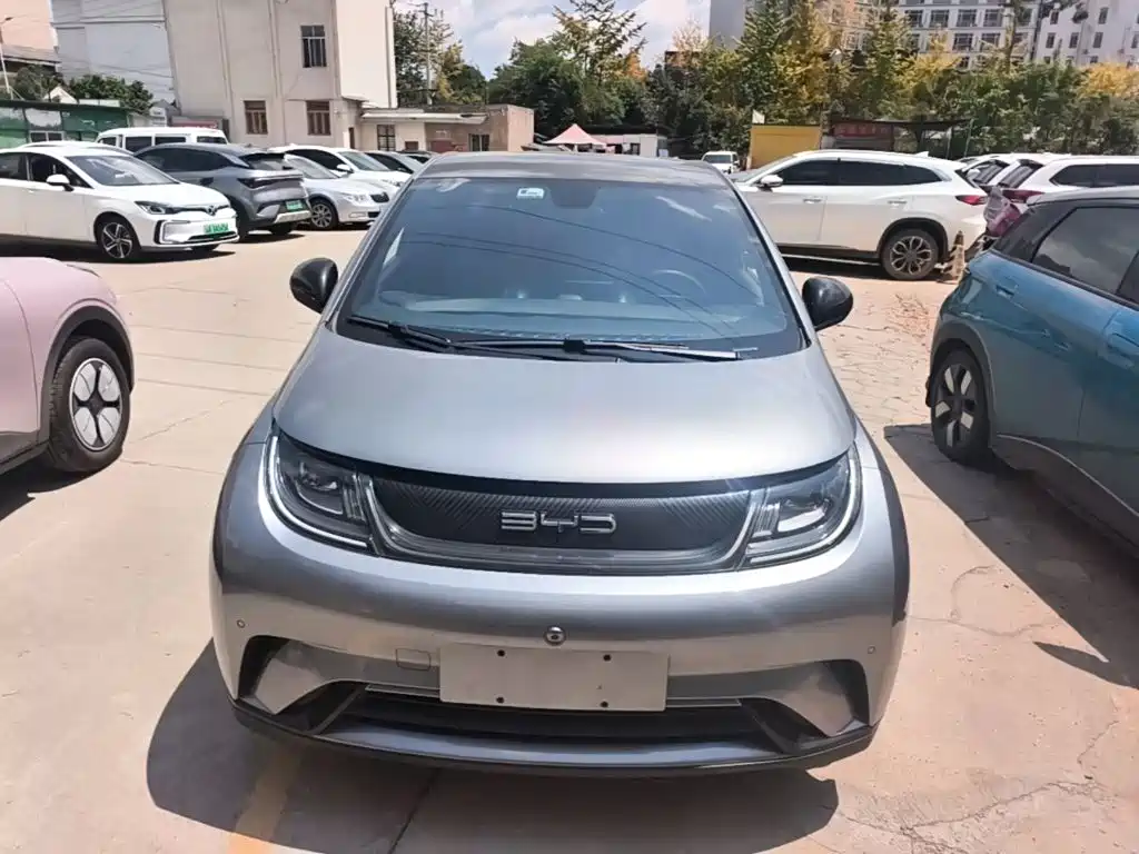 BYD Dolphin — миниатюра 3