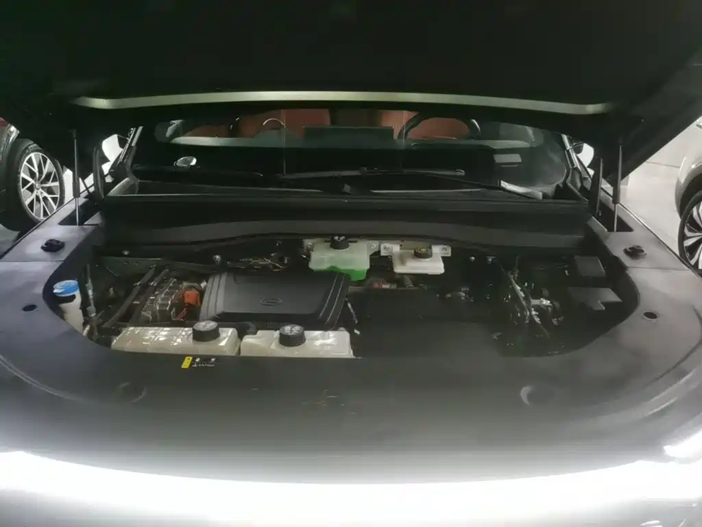 GAC Motor Trumpchi Xiangwang S7 — миниатюра 20