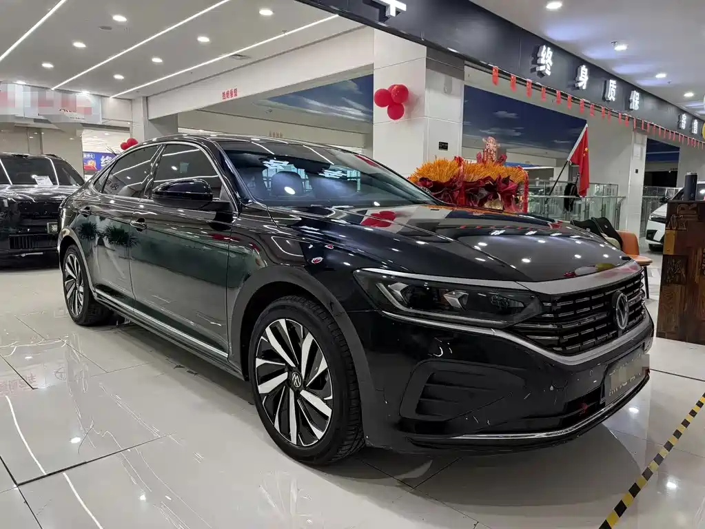Volkswagen Passat — миниатюра 3