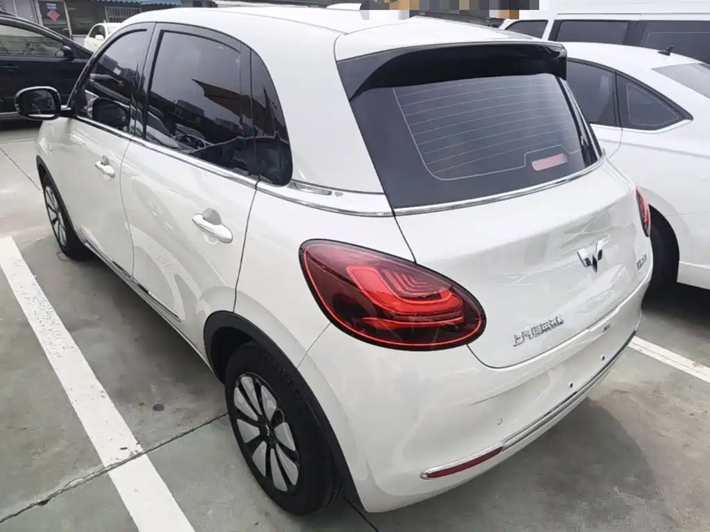 Wuling Binguo 2023 333km Enjoy +