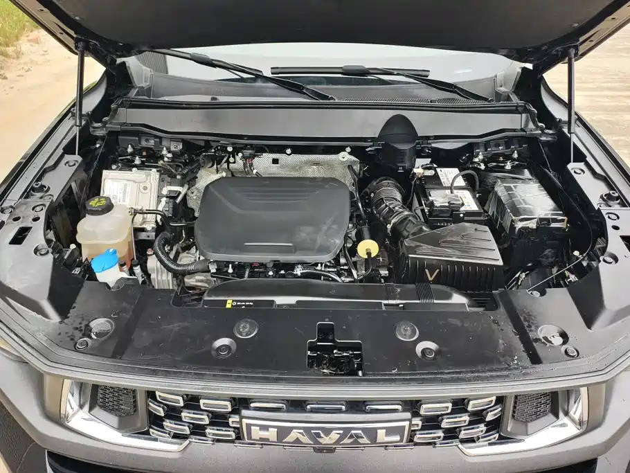 Haval Big Dog PLUS — миниатюра 10
