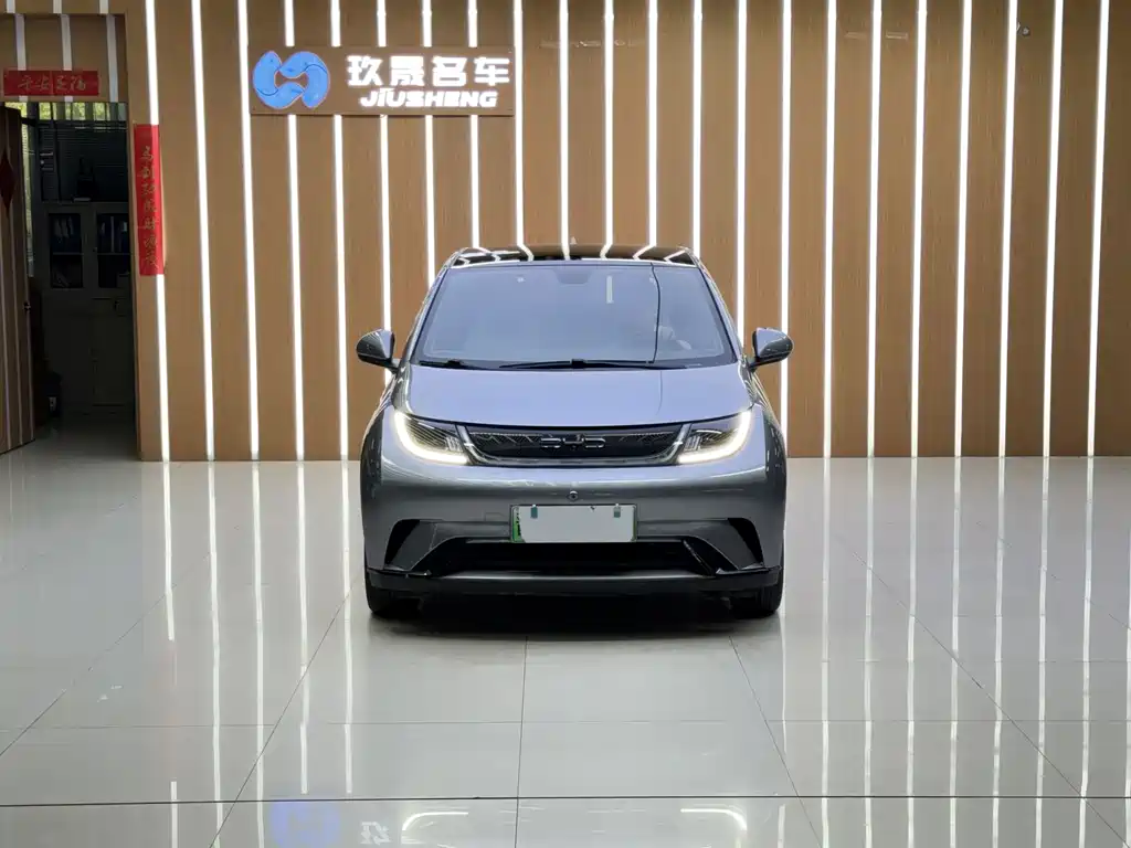 BYD Dolphin — миниатюра 2
