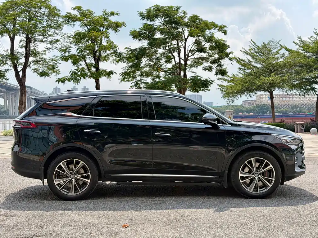 BYD Tang New Energy — миниатюра 6